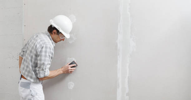 Best Drywall Texturing  in Akron, IA