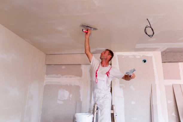 Best Interior Painting  in Akron, IA